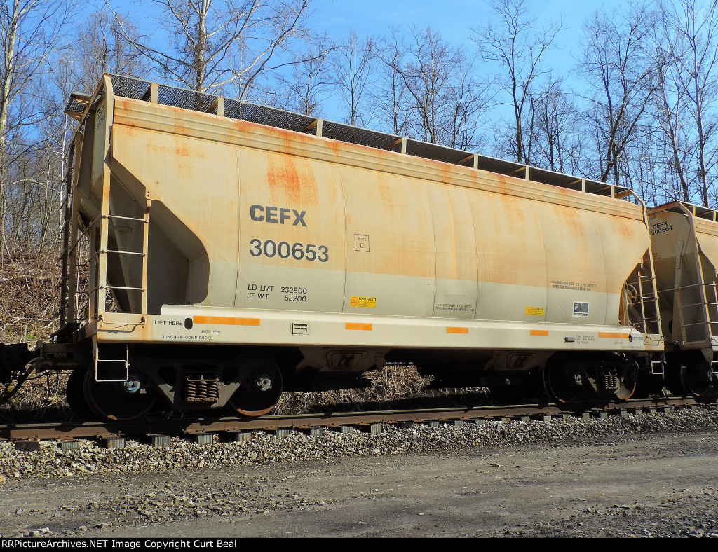 CEFX 300653